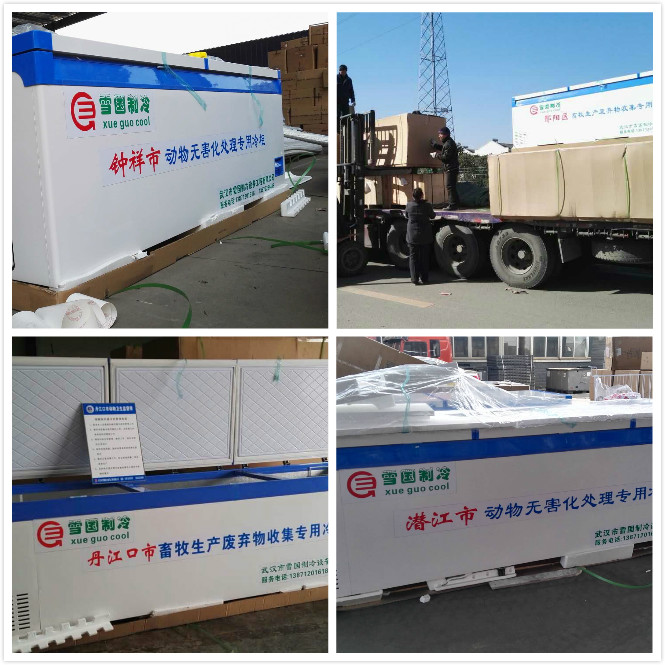 雪國(guó)制冷，武漢冷庫(kù)，武漢制冷，武漢冷庫(kù)公司，小型冷庫(kù)，冷庫(kù)設(shè)計(jì)